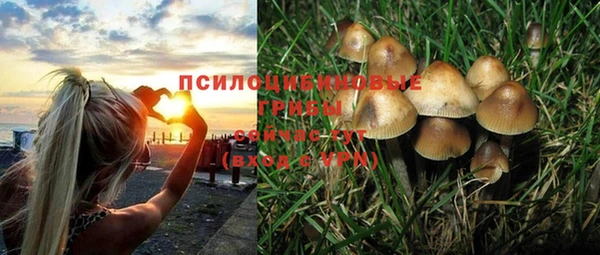 MDMA Алексеевка