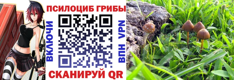 Псилоцибиновые грибы Magic Shrooms  Ливны 